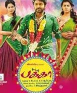 Pakka (2018) Pakka (2018)