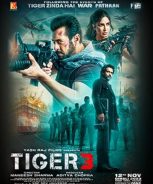 Tiger 3 (2023) Tiger 3 (2023)